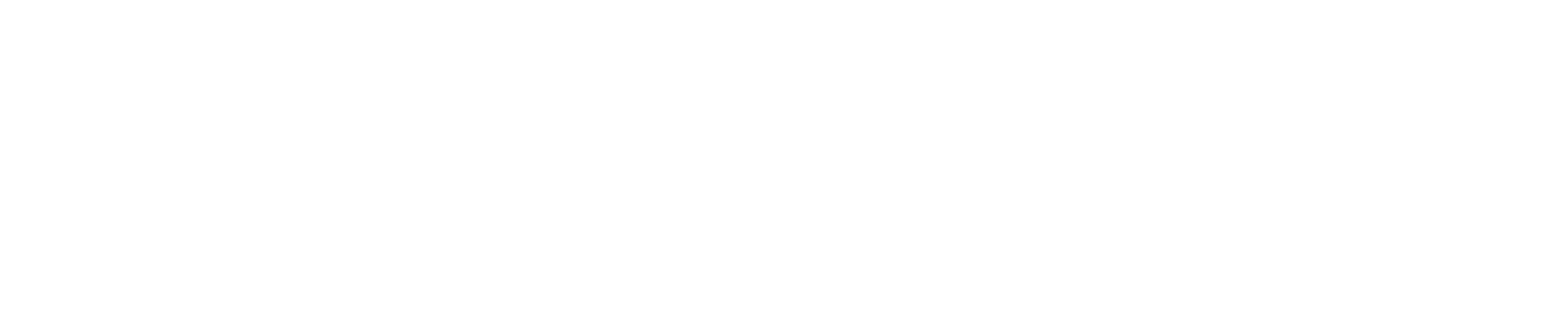 LiceaPrint